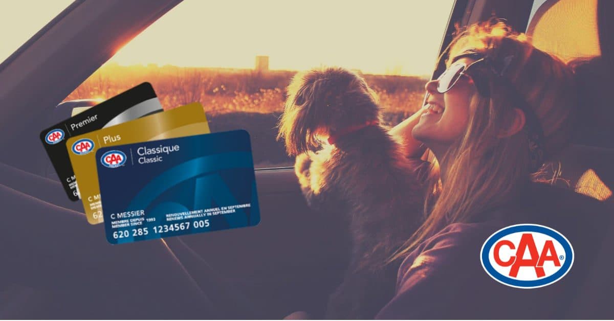 a girl in a car with a dog and credit cards of CAA (Classic, Plus and Premier)