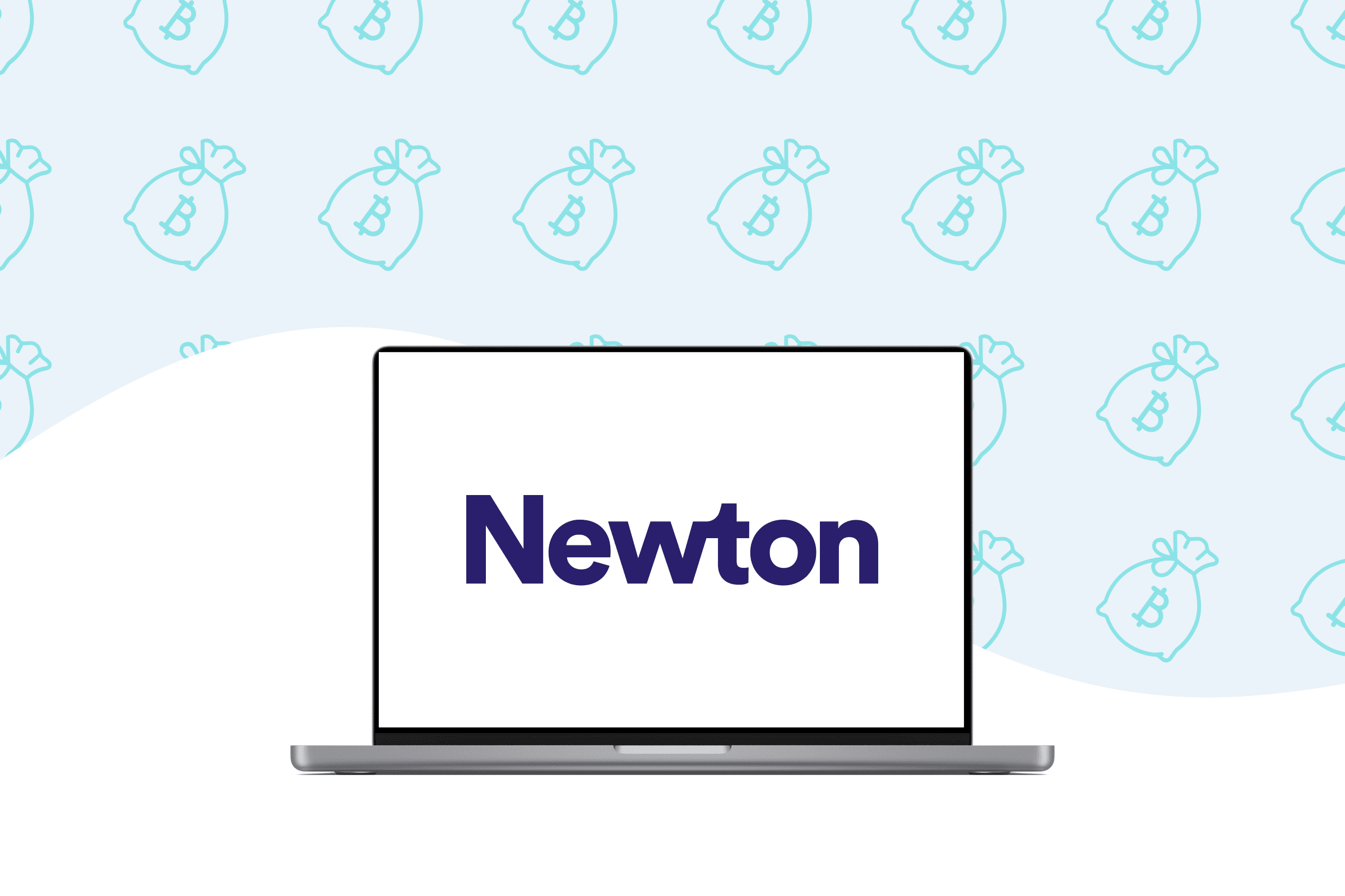 newton-review