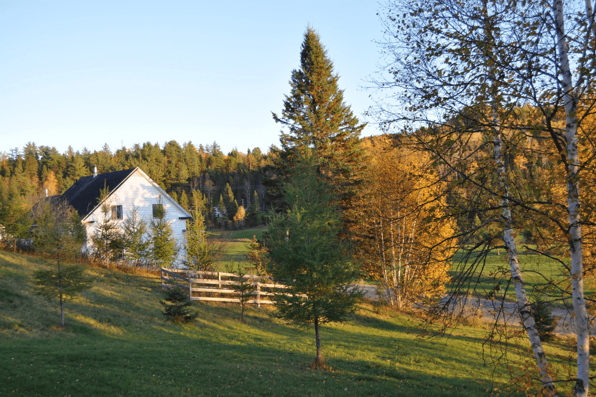 L’achat de première maison