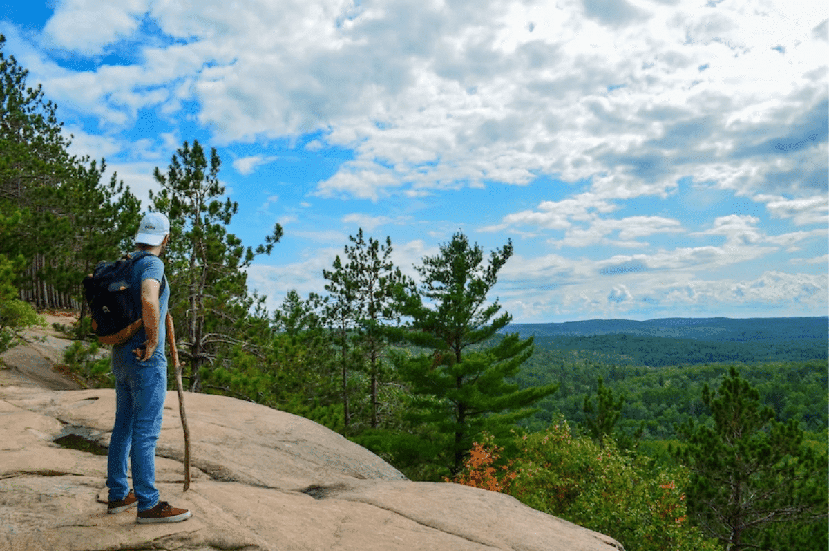 a person standing on a rock looking at a forest