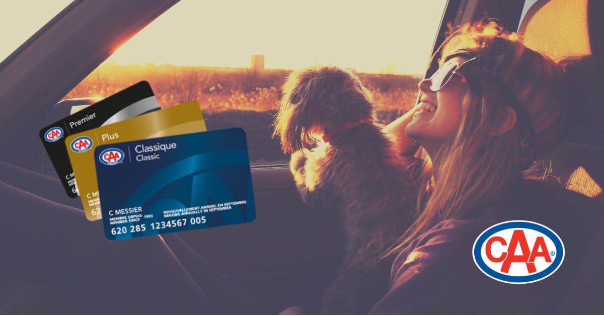 a girl in a car with a dog and credit cards of CAA (Classic, Plus and Premier)