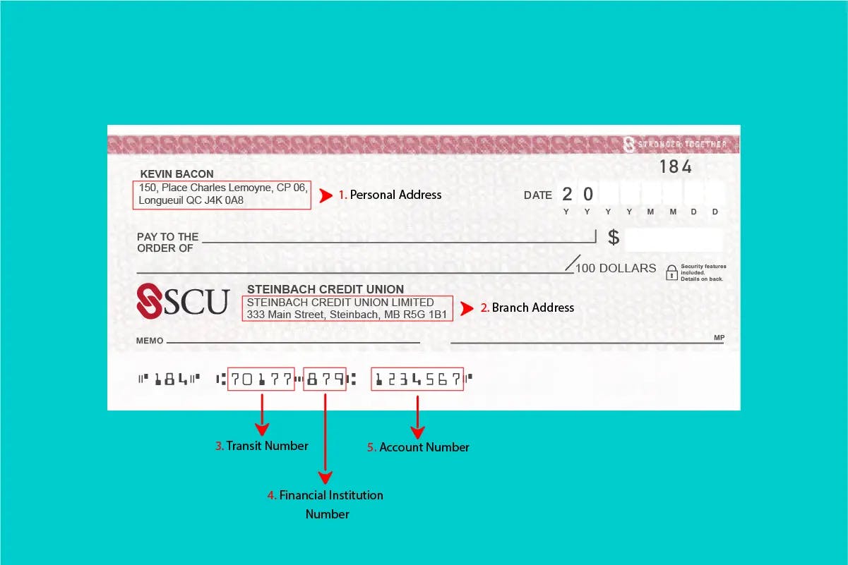 Steinbach Credit Union Void cheque: Everything you need to know to find and understand it