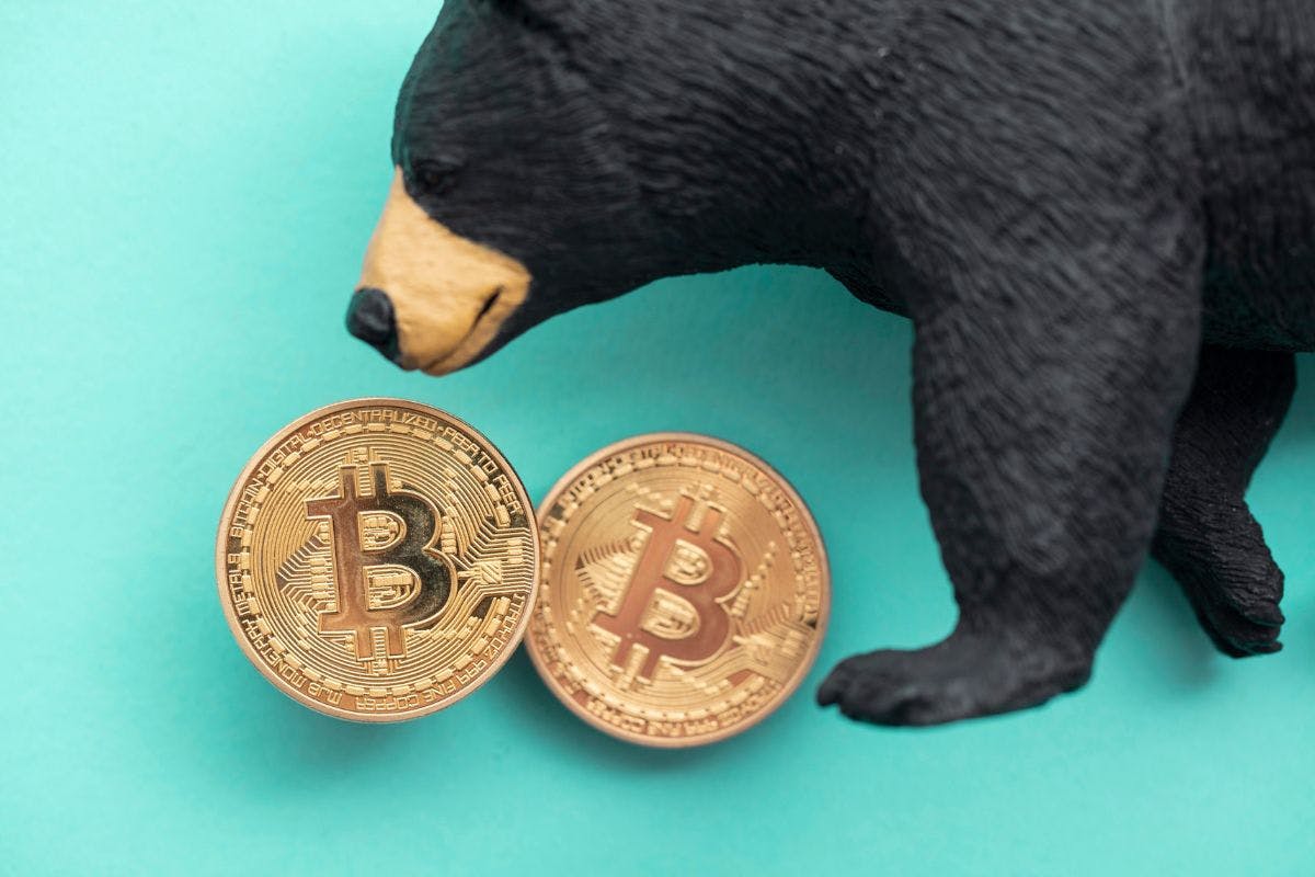 Buy the Dip or Wait? Don’t Feed the Bitcoin Bears! 