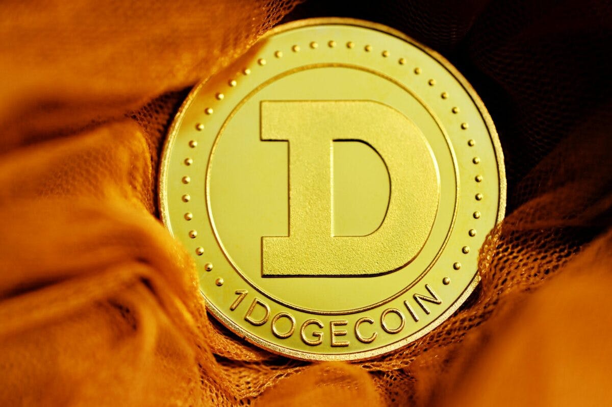 a gold coin with a letter d on it