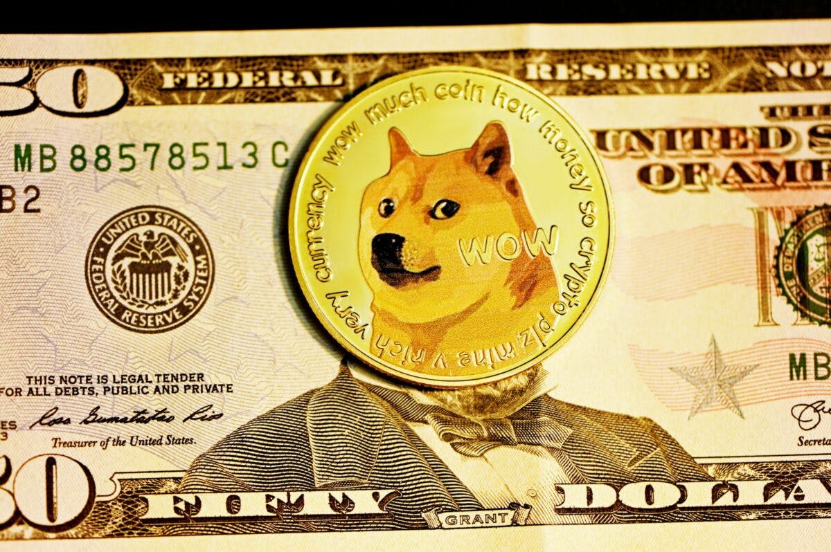 A visual representation of the phrase 'dogecoin is the new bitcoin', emphasizing the increasing prominence of dogecoin as a cryptocurrency, surpassing the influence of bitcoin.