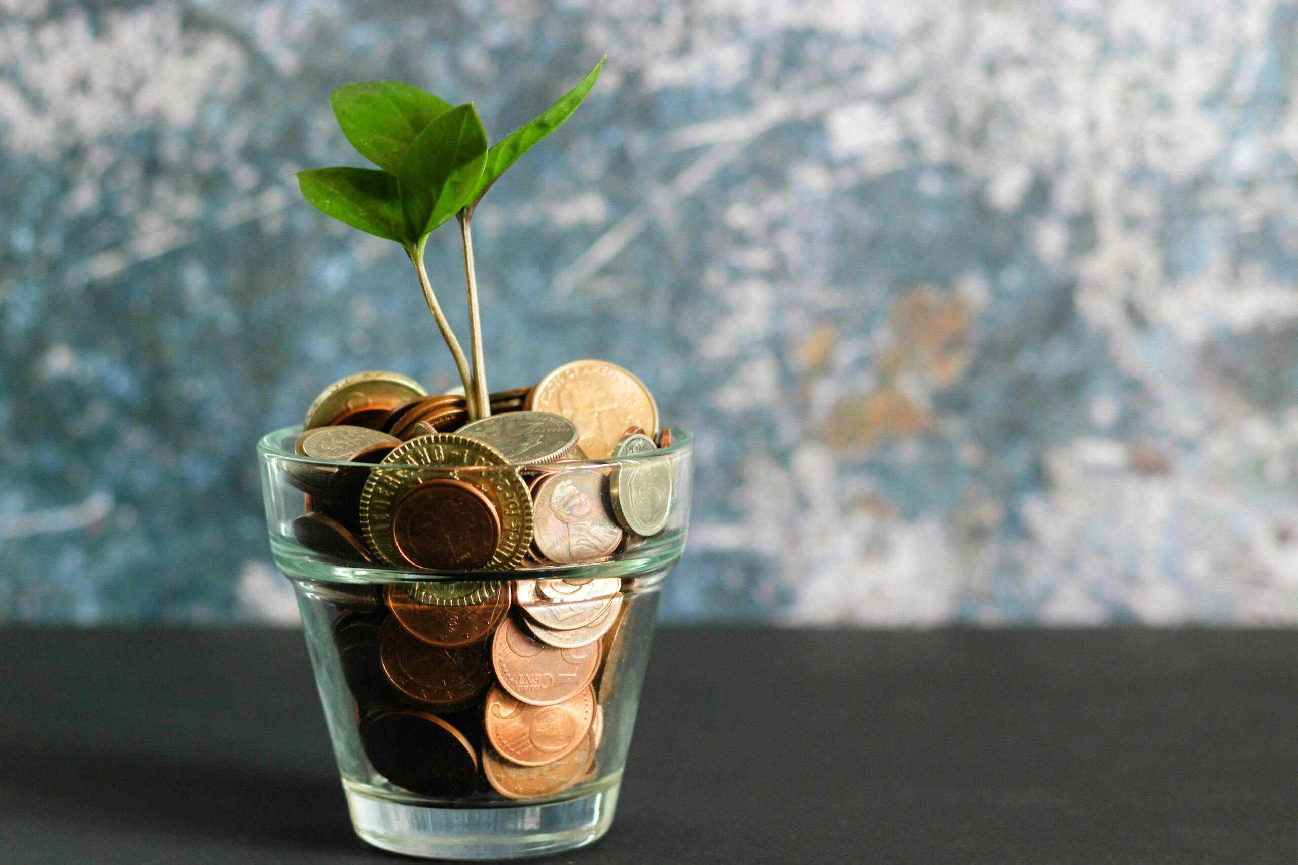 Money jar with plant. A clear glass container on a table holds cash and a green plant, representing financial planning.