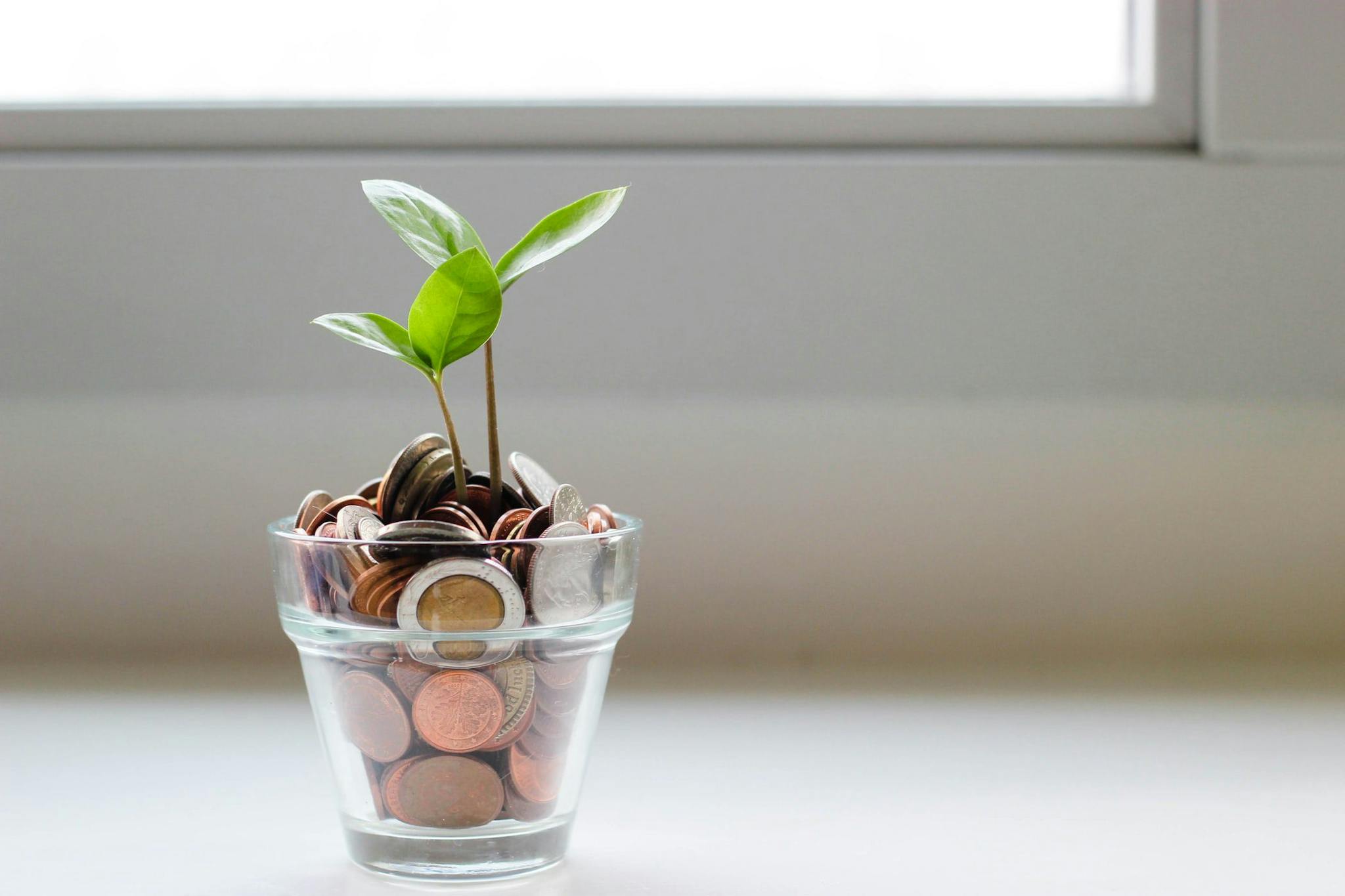 a plant growing from a glass cup of coins