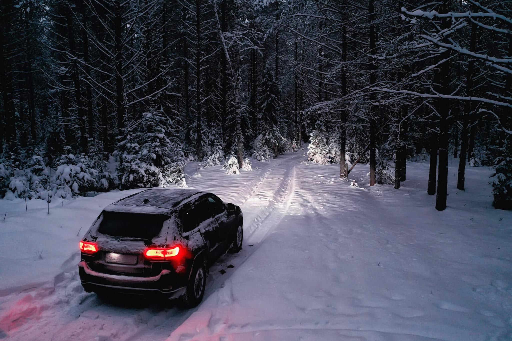 The 10 Best Winter Cars in Canada