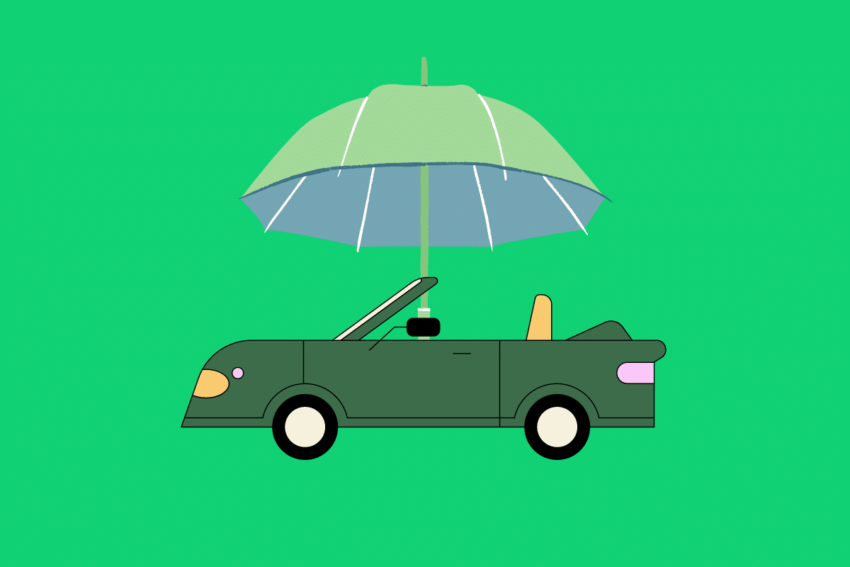 a car with a umbrella