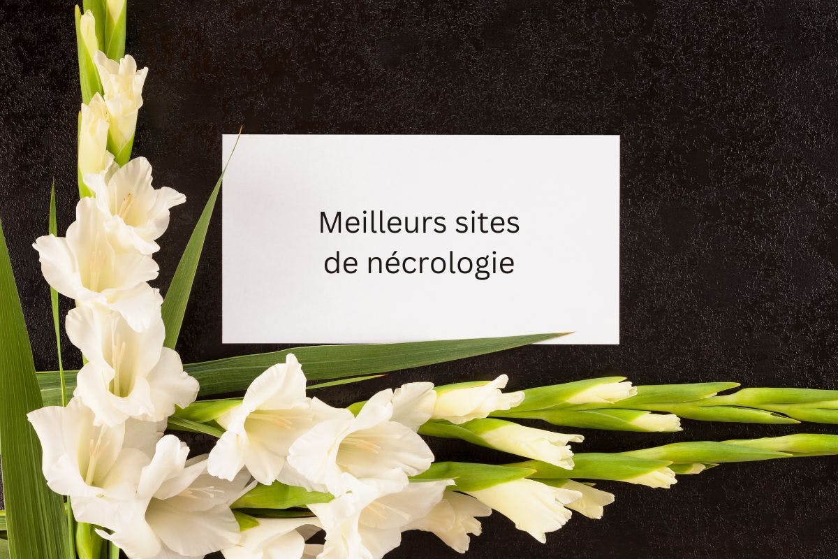 a white flowers next to a white card of best sites for obtuaries