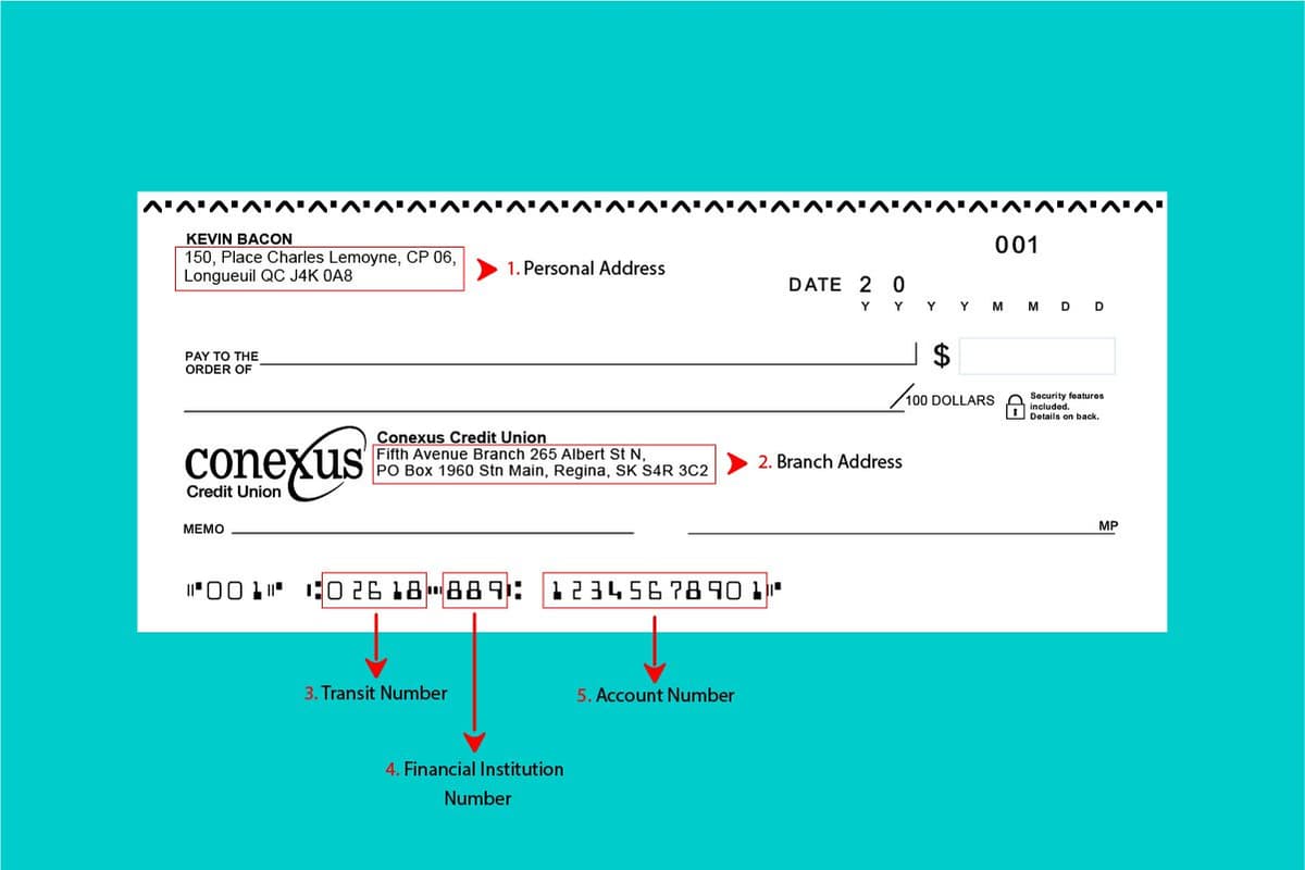 A Guide to Conexus Credit Union's Sample Cheques