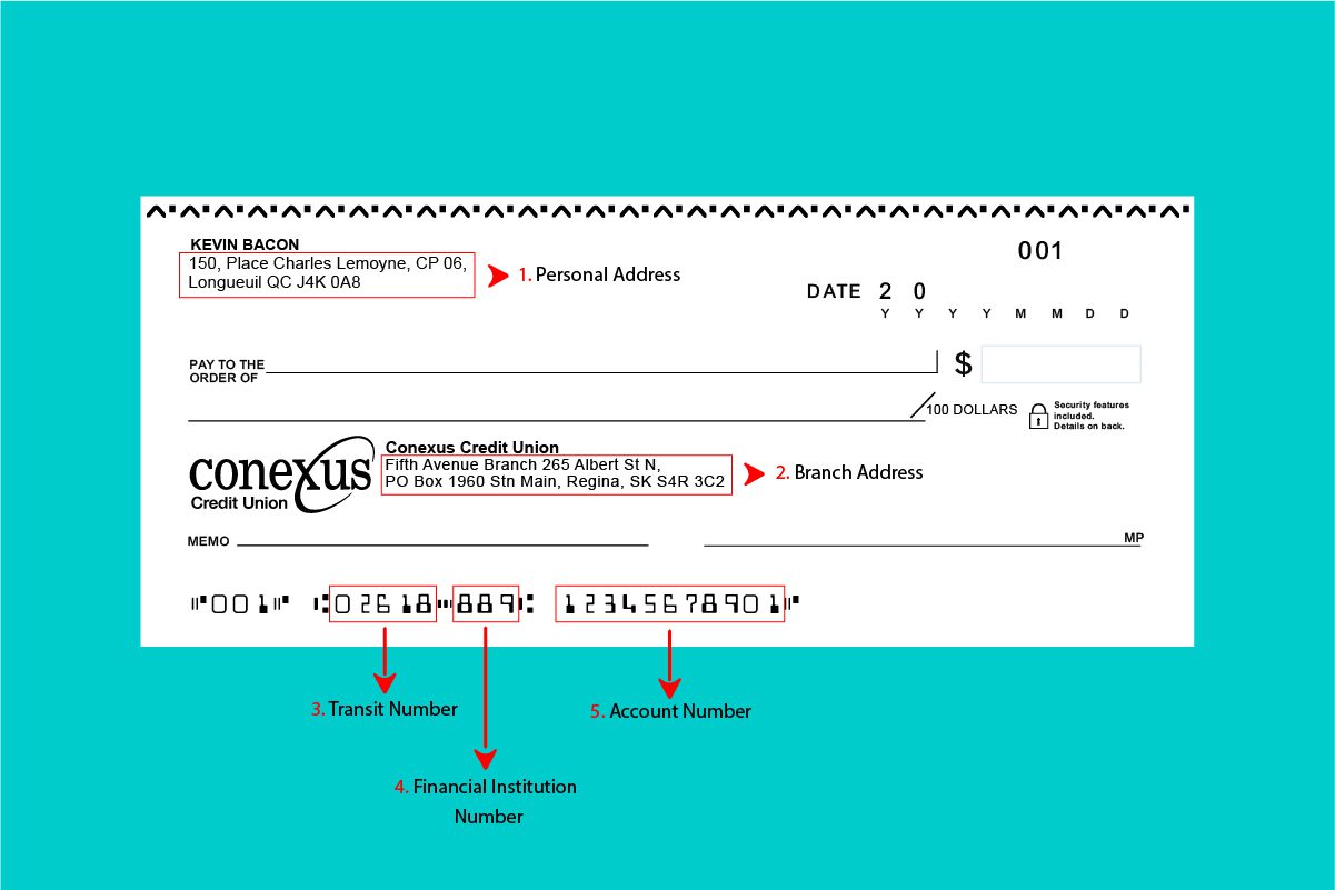 A Guide to Conexus Credit Union's Sample Cheques